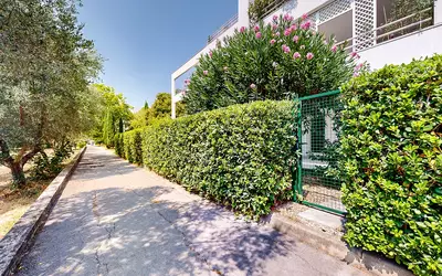 Montpellier