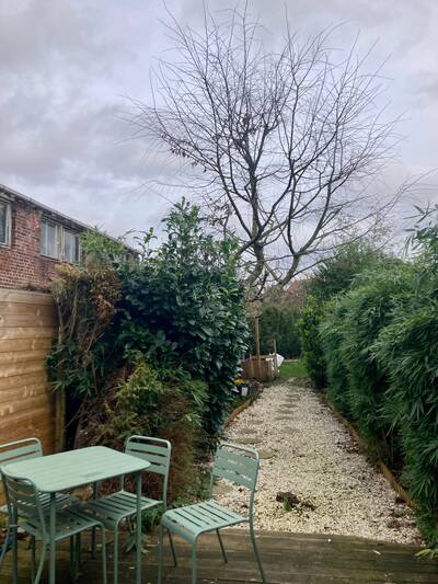 Location maison 6 pièces Lambersart (59130)