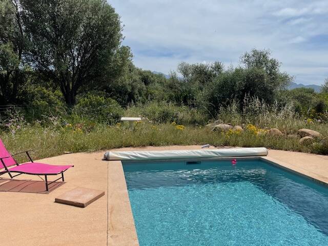 Calvi