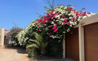Maroc