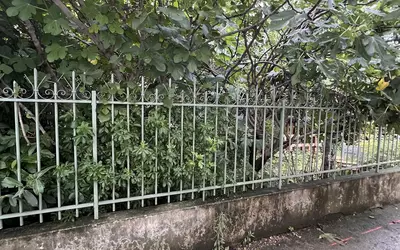 Aubervilliers (93300)