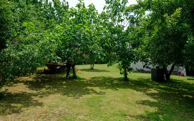 Baden (56870)