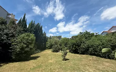 Cannes (06150)