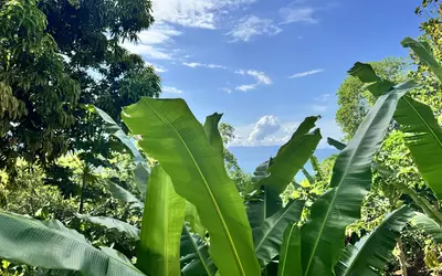 Madagascar