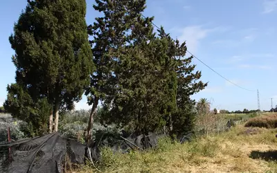 Chipiona