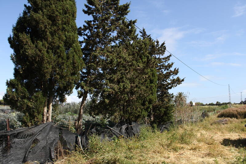 Chipiona