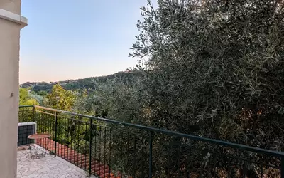 Nice (06000)