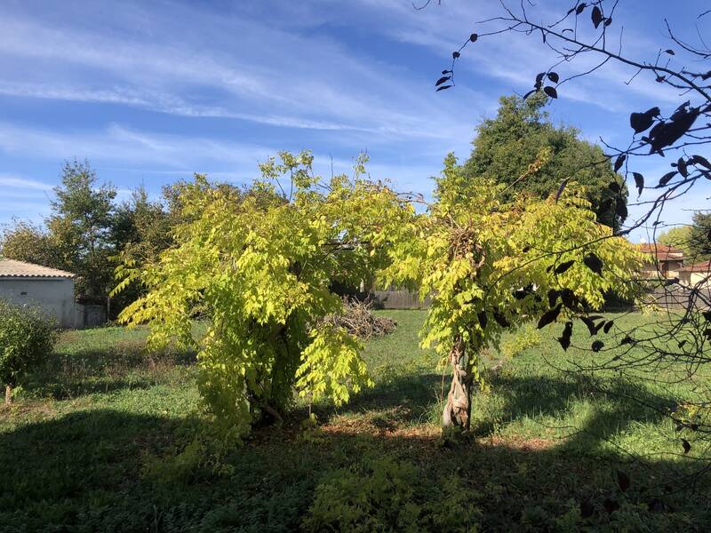 Entre Les Vignes Et Le Bord Du Lot