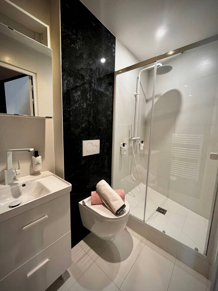 Maisons-Alfort (94700)