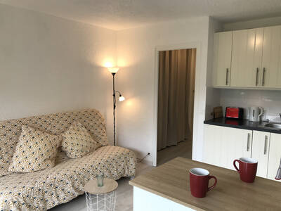 Location appartement studio Thollon-les-Mémises (74500)