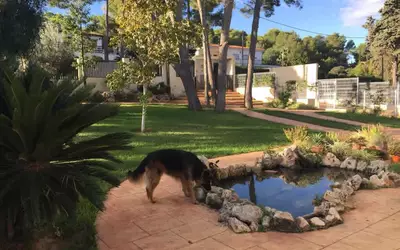 Espagne