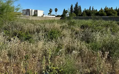 Tunisie