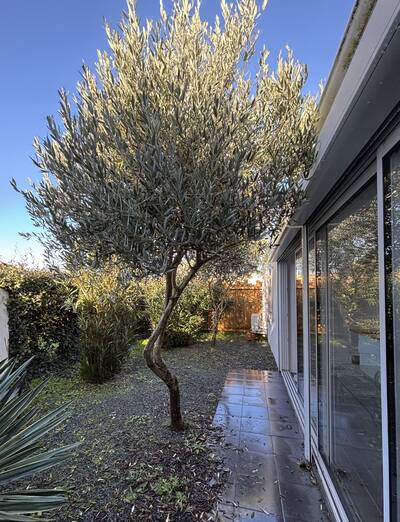 Vente maison 4 pièces Le Grand-Village-Plage (17370)