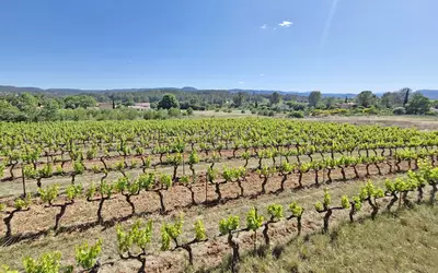 Carcès (83570)