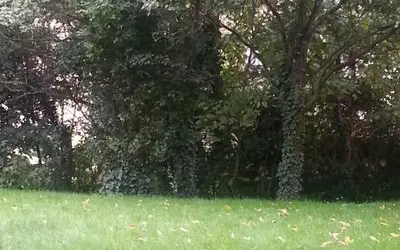 Montreuil (93100)