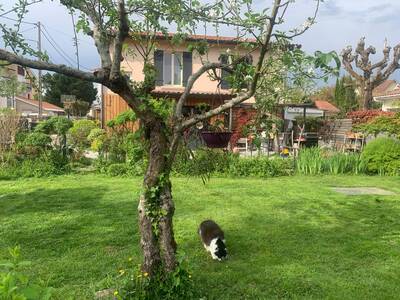 Vente maison 6 pièces Mont-de-Marsan (40000)