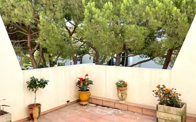 La Grande-Motte-500M De La Plage-