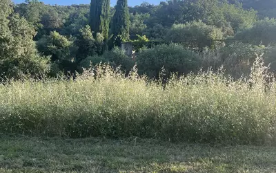 Neffiès (34320)