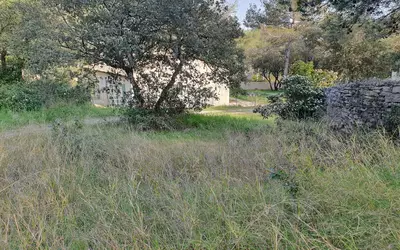 Nîmes (30000)