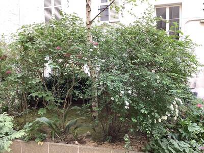 Location appartement 2 pièces Levallois-Perret (92300)