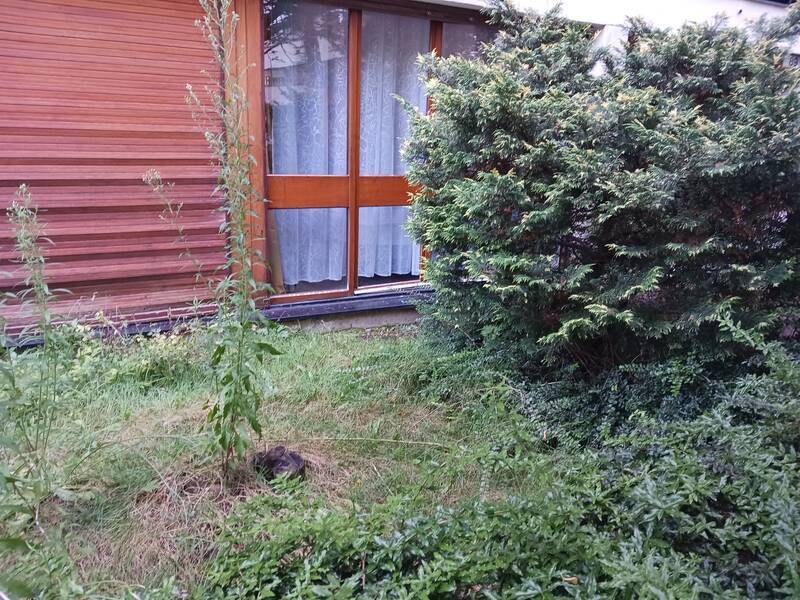 La Celle-Saint-Cloud (78170)