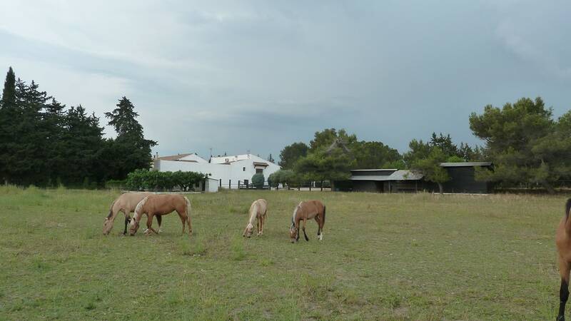 Mas Provencal / Ranch Camarguais À Beaucaire