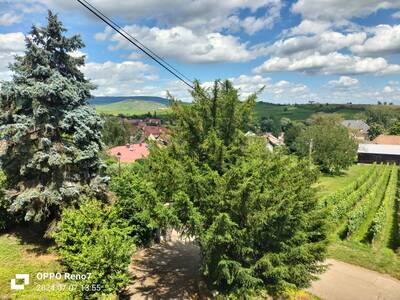 Vente maison 6 pièces Bergholtzzell (68500)