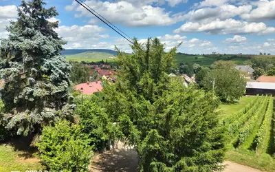 Bergholtzzell (68500)