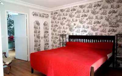 Chinon (37500)