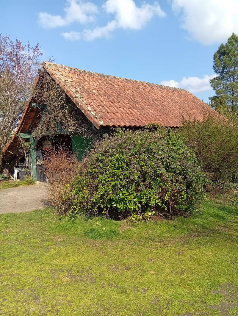 Pissos (40410)