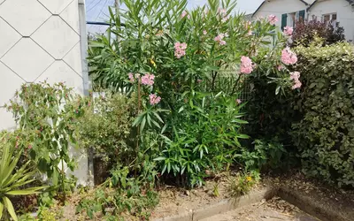 La Baule-Escoublac (44500)