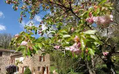 Cordes-Sur-Ciel