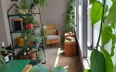 Villeurbanne (69100)