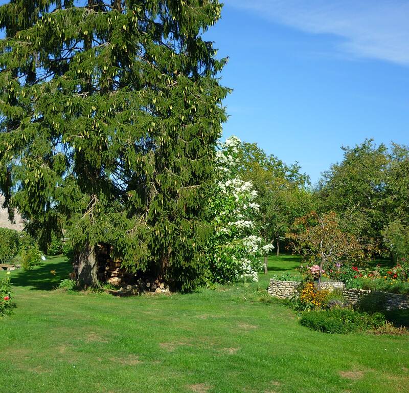 Regnévelle (88410)