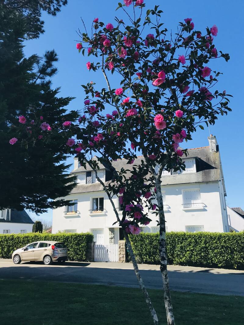 Fouesnant (29170)