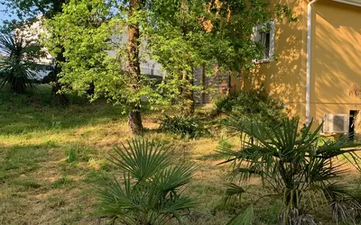 Villemur-Sur-Tarn (31340)