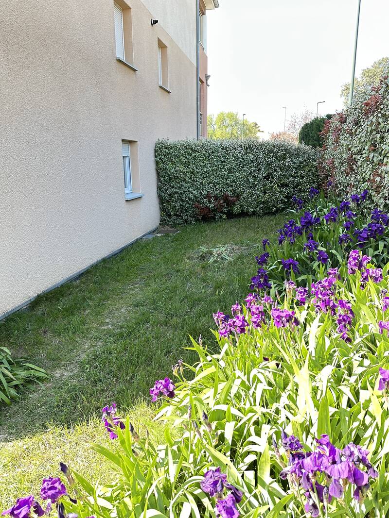 Donzère (26290)