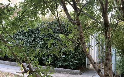 Montpellier (34000)