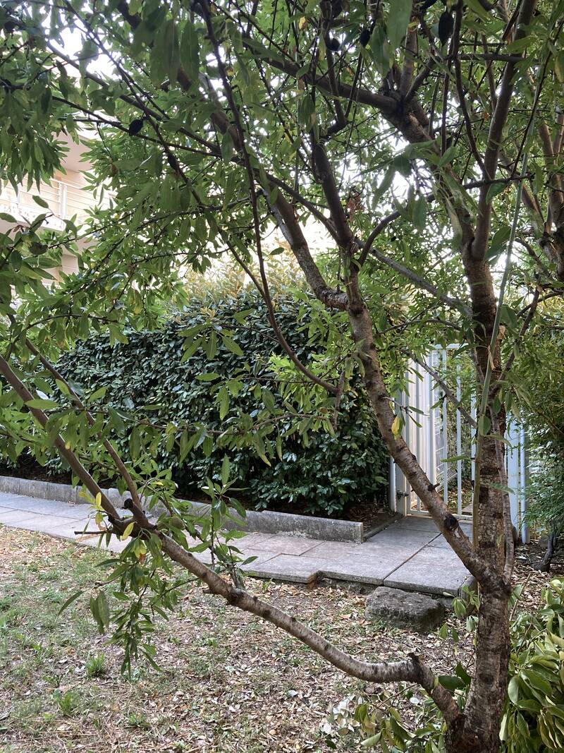 Chez Propriétaire Montpellier (34)