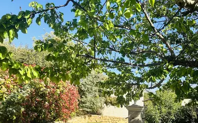 Vidauban (83550)