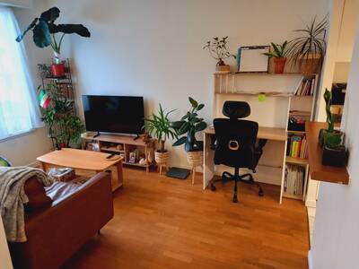 Location appartement studio Maisons-Laffitte (78600)