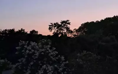 Fontenay-Aux-Roses (92260)
