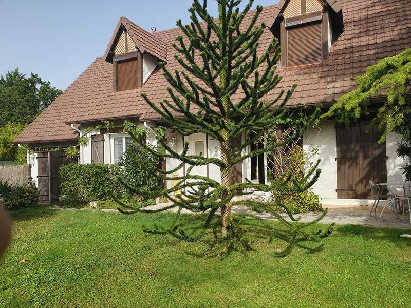 Saint-Cyr-En-Val (45590)
