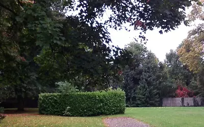 Lille (59000)