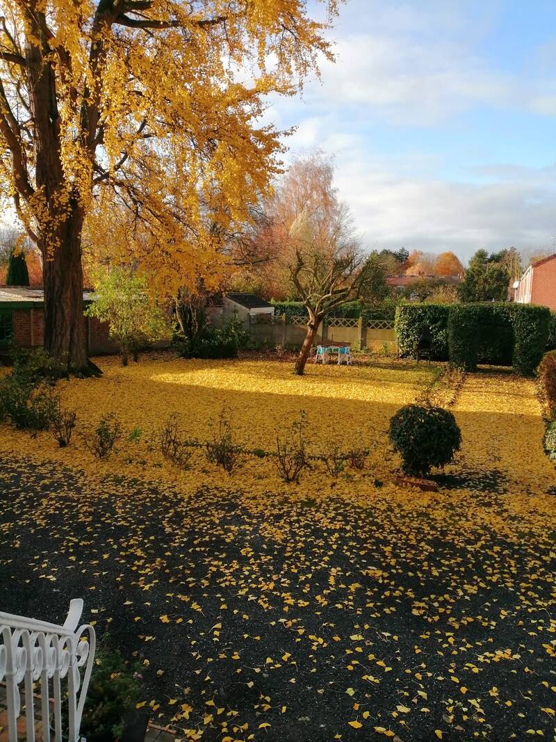 Mons-En-Barœul (59370)