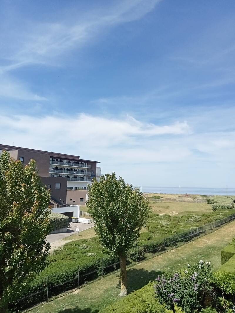 Cabourg (14390)