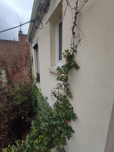 Location appartement 2 pièces Les Lilas (93260)