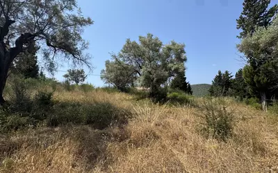 Grèce