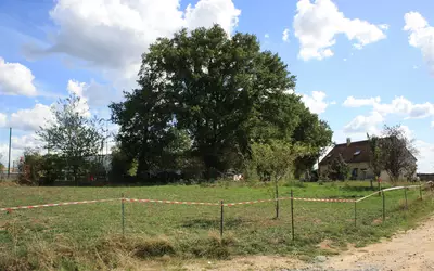 Joué-L'abbé (72380)