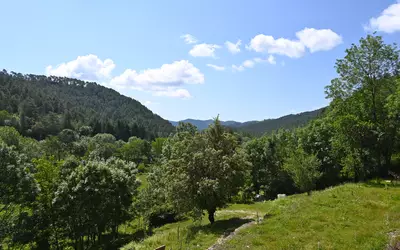 Chamborigaud (30530)